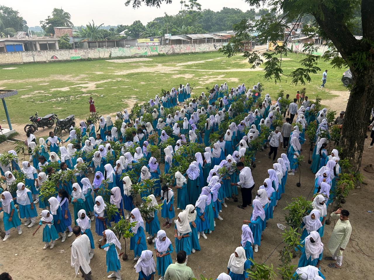 ফলদ বৃক্ষের চারা বিতরণ ব্যানার
